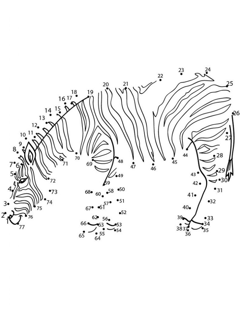 join the dots animal pictures zebra