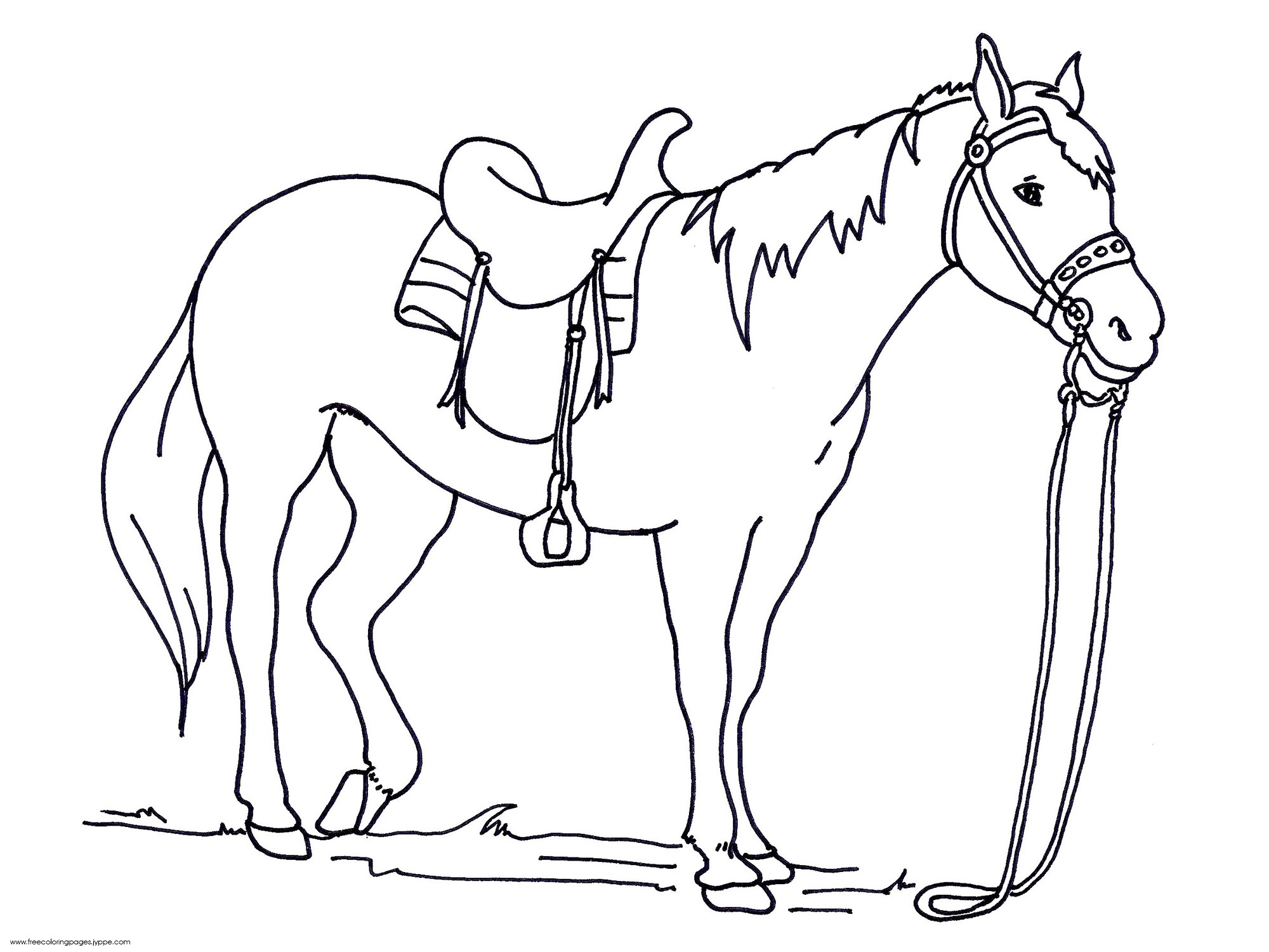 Horse Coloring Pages for Kindergarten | Learning Printable