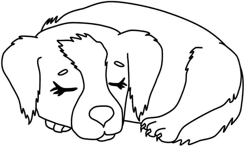 Free Printable Dog Coloring Pages | Learning Printable
