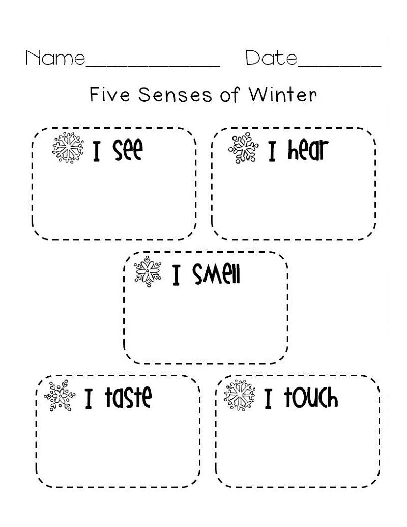 activities for the five senses for preschool easy