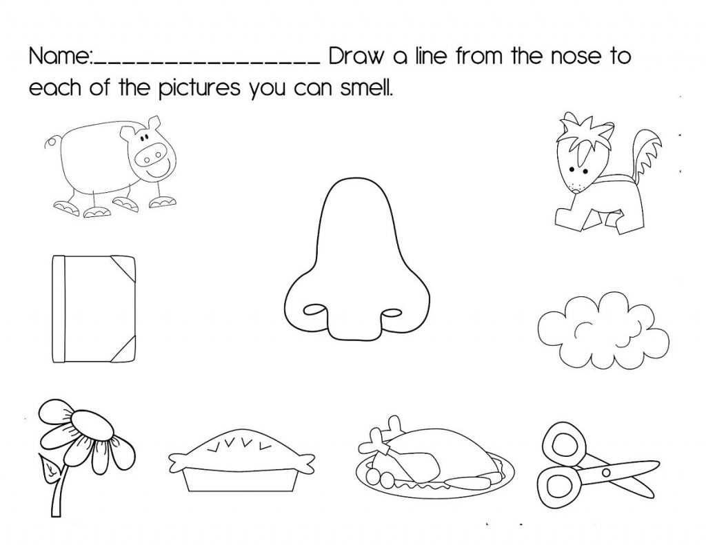 Activities for the Five Senses for Preschool | Learning Printable