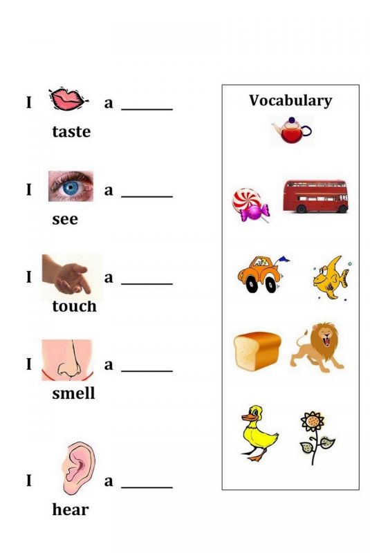 activities for the five senses for preschool sheet
