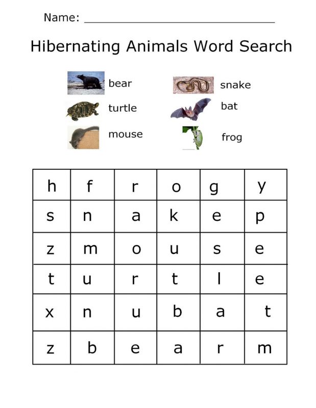 animal wordsearch for kindergarten