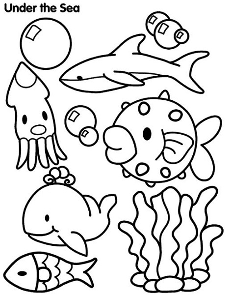 ocean animal coloring pages