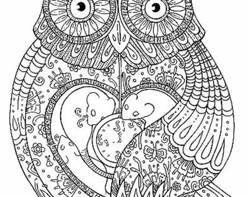 Awesome Owl Coloring Pages for Teens