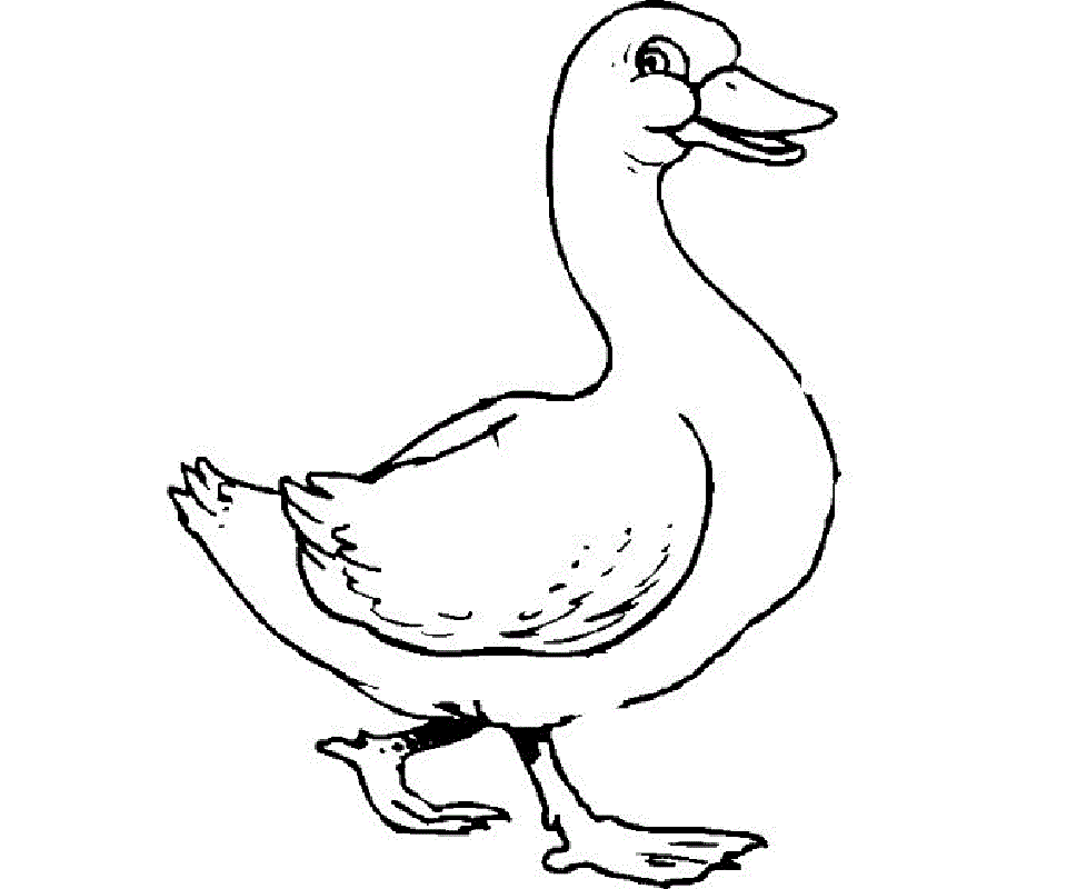 Coloring for Toddlers Printable Duck