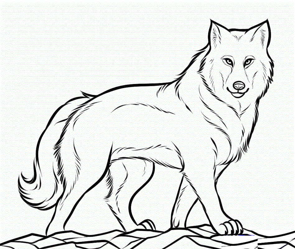 Downloadable Coloring Pages Wolf