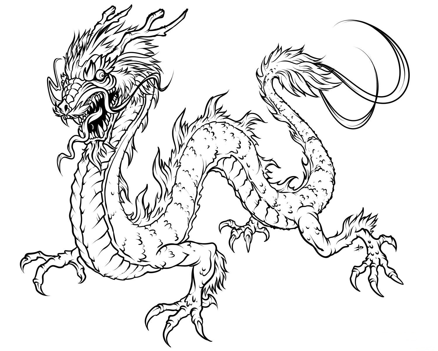 Dragon Coloring Pages for Adults