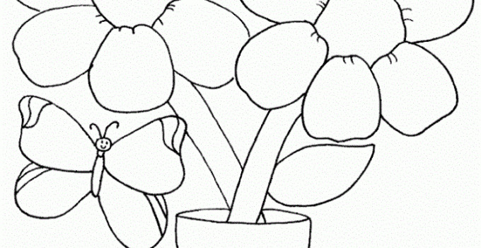 Color Pictures Online Flower