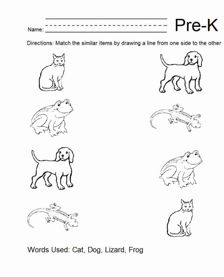 Pre K Learning Sheets Math Pre K Math Worksheets Printable | Learning Printable
