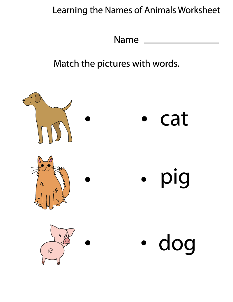Preschool Worksheets Pdf Animal