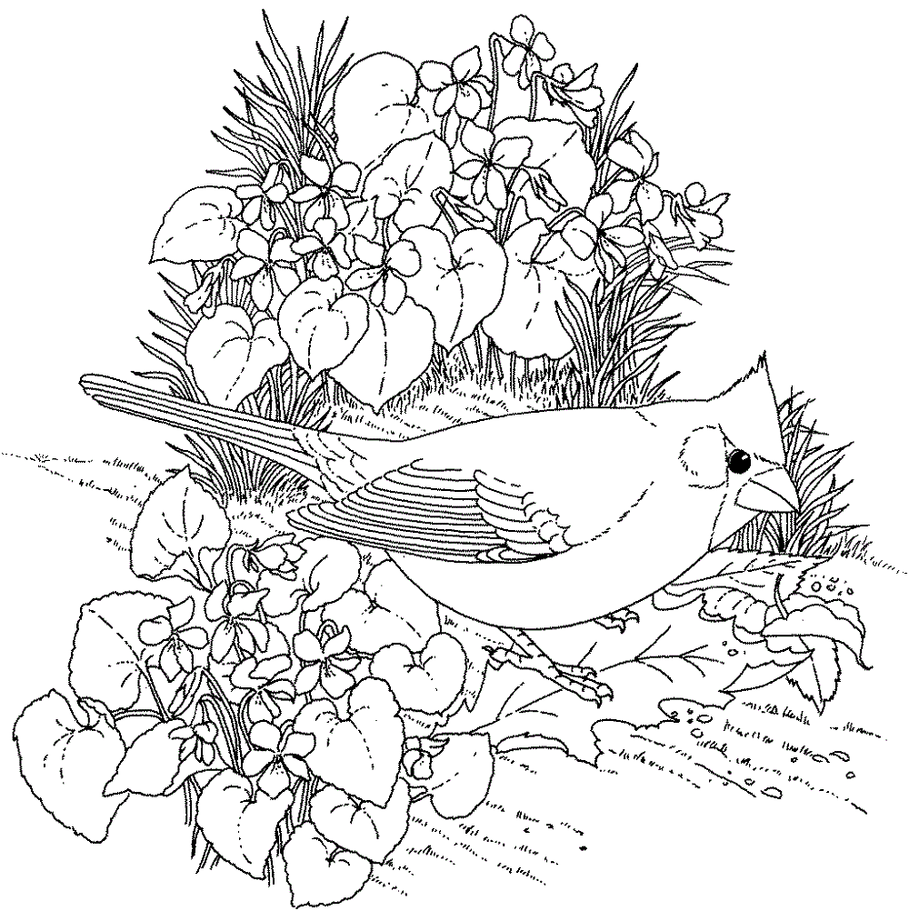 Hard Coloring Pages Flowers