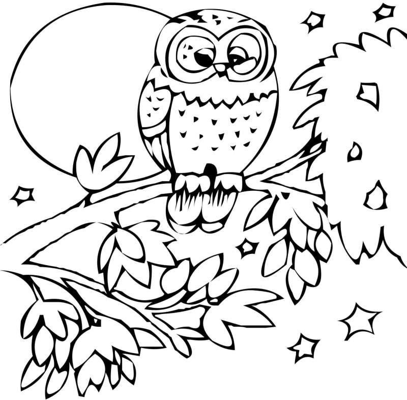 Pictures to Print Out and Color Kids
