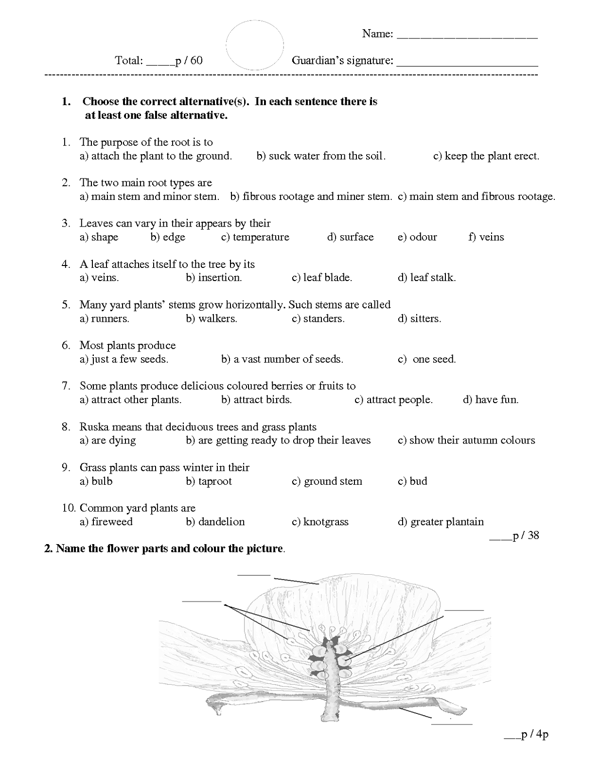 Third Grade Worksheets Science