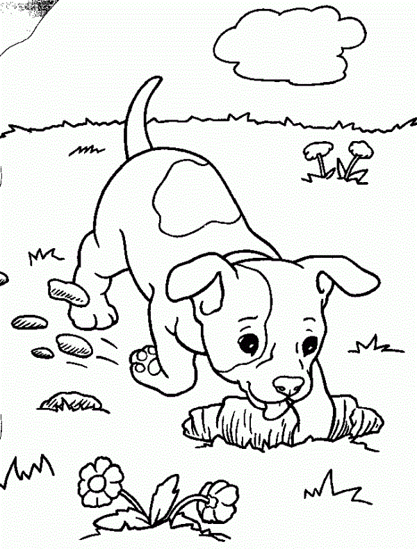 Free Printable Coloring for Kids Dog