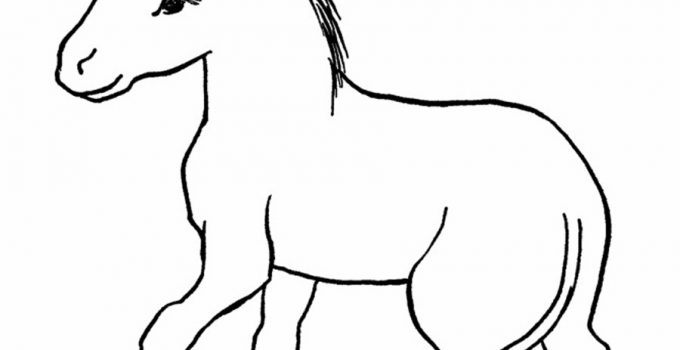 Printable Coloring for Kids Donkey