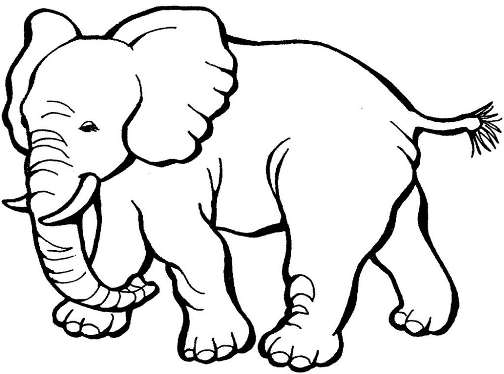 Printable Coloring Pages for Kids Animals