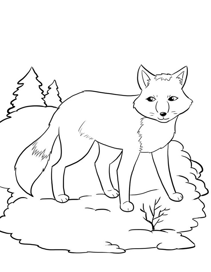 Winter Coloring Pages Animals