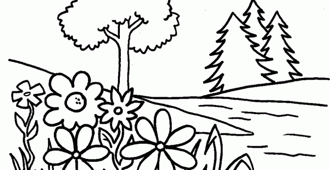 Colouring Pictures for Toddlers Plant