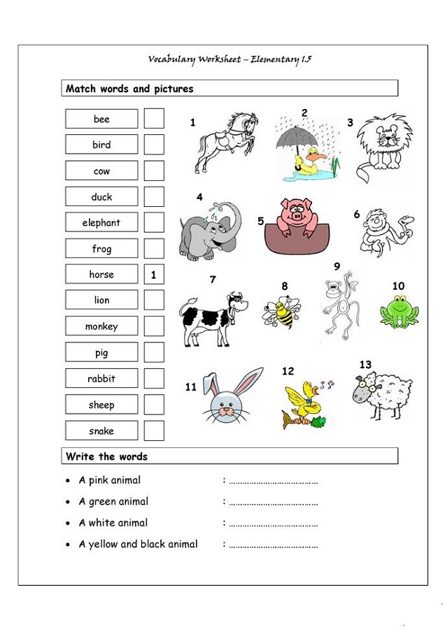 Worksheets for Elementary Students Vocabulary