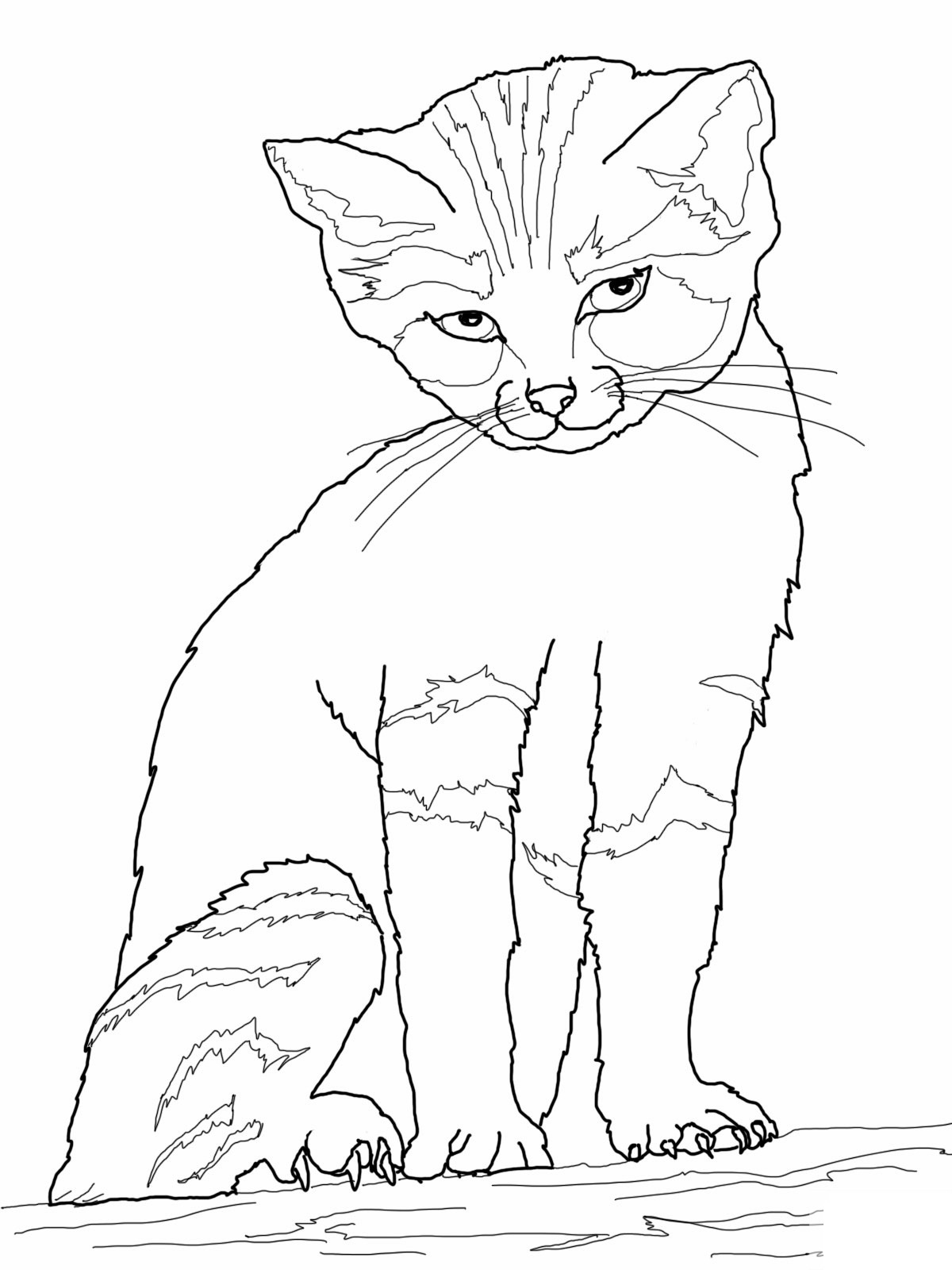 Downloadable Coloring Pages Cat