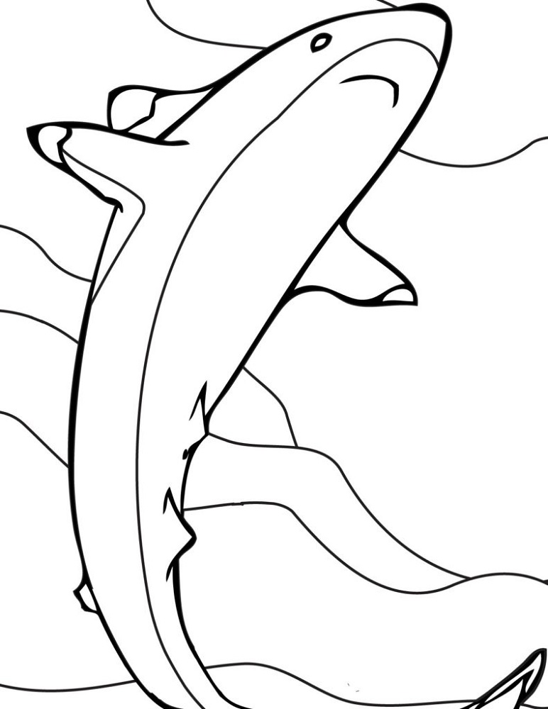 Free Coloring Pictures for Kids Shark