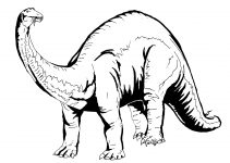 Printable Colouring Pictures for Children Dinosaur