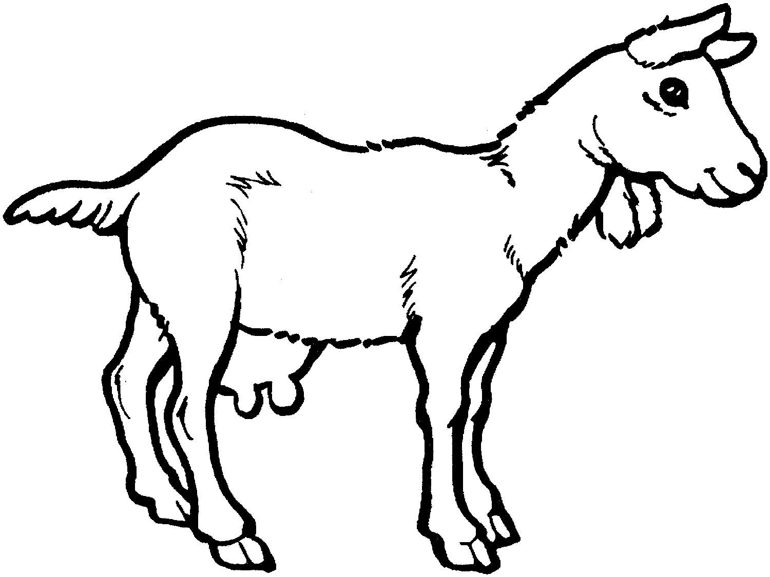 Free Coloring Sheets to Print Goat