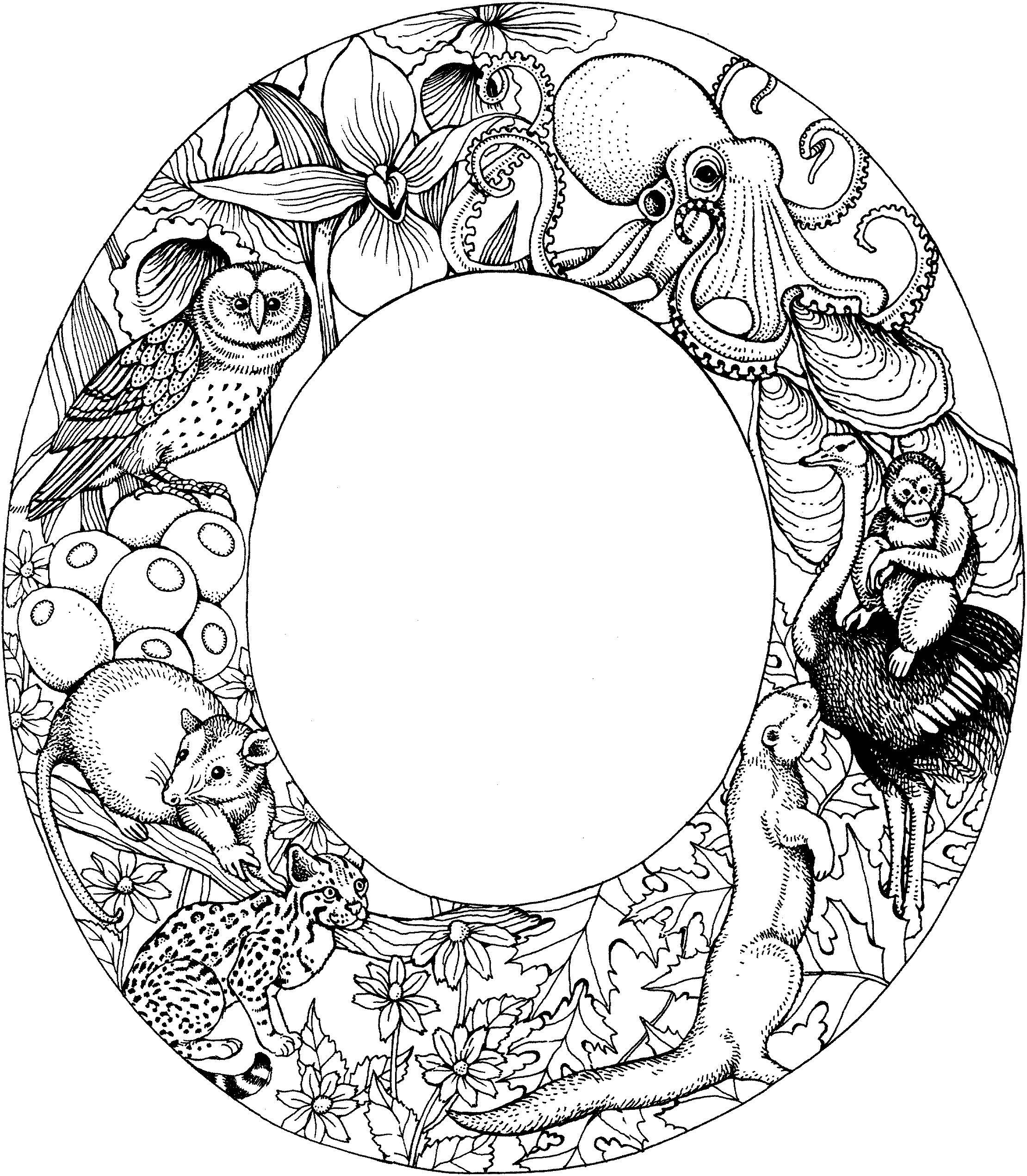 Letter O Coloring Pages Animals