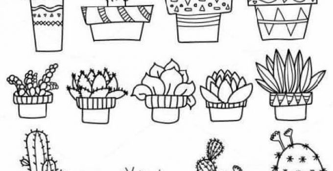 Potted Succulent Coloring Page