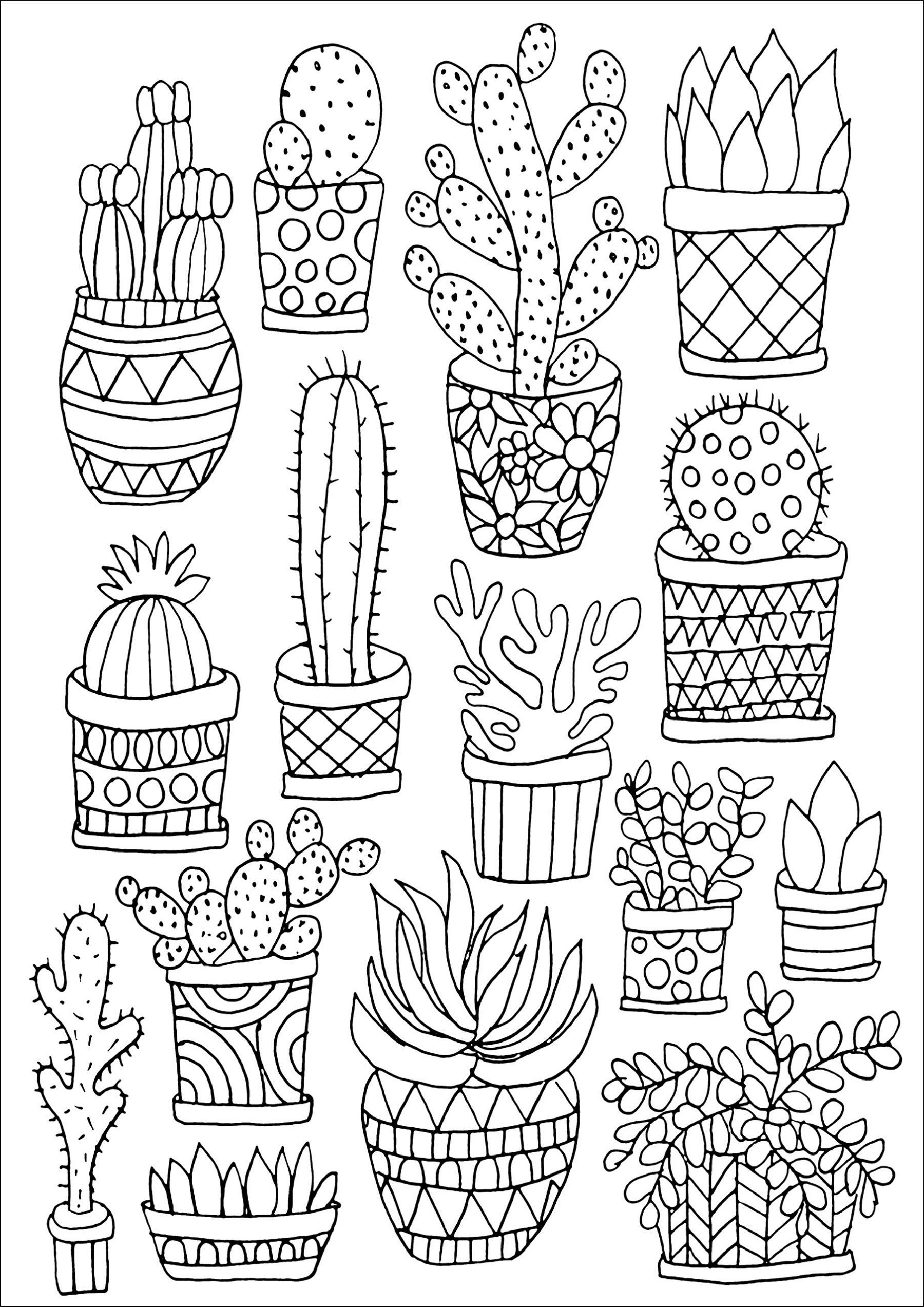 Succulent Coloring Page Simple