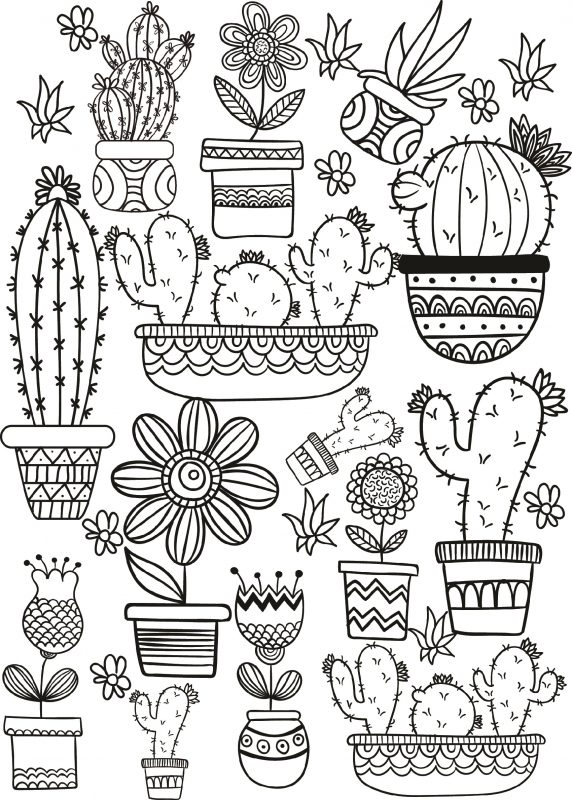 Beautiful Succulent Coloring Pages | Learning Printable Beautiful ...