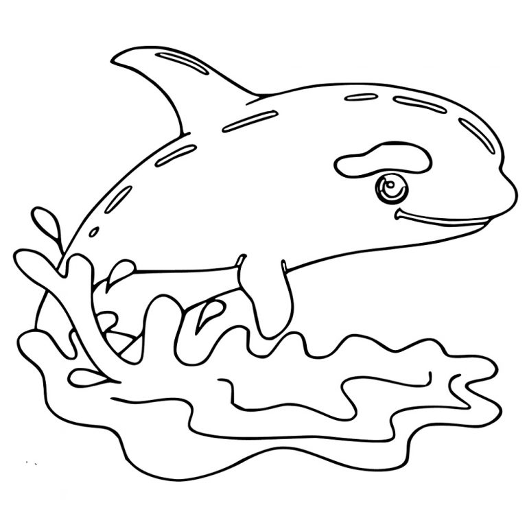 Orca Coloring Pages to Print for Learning Learning Printable Orca