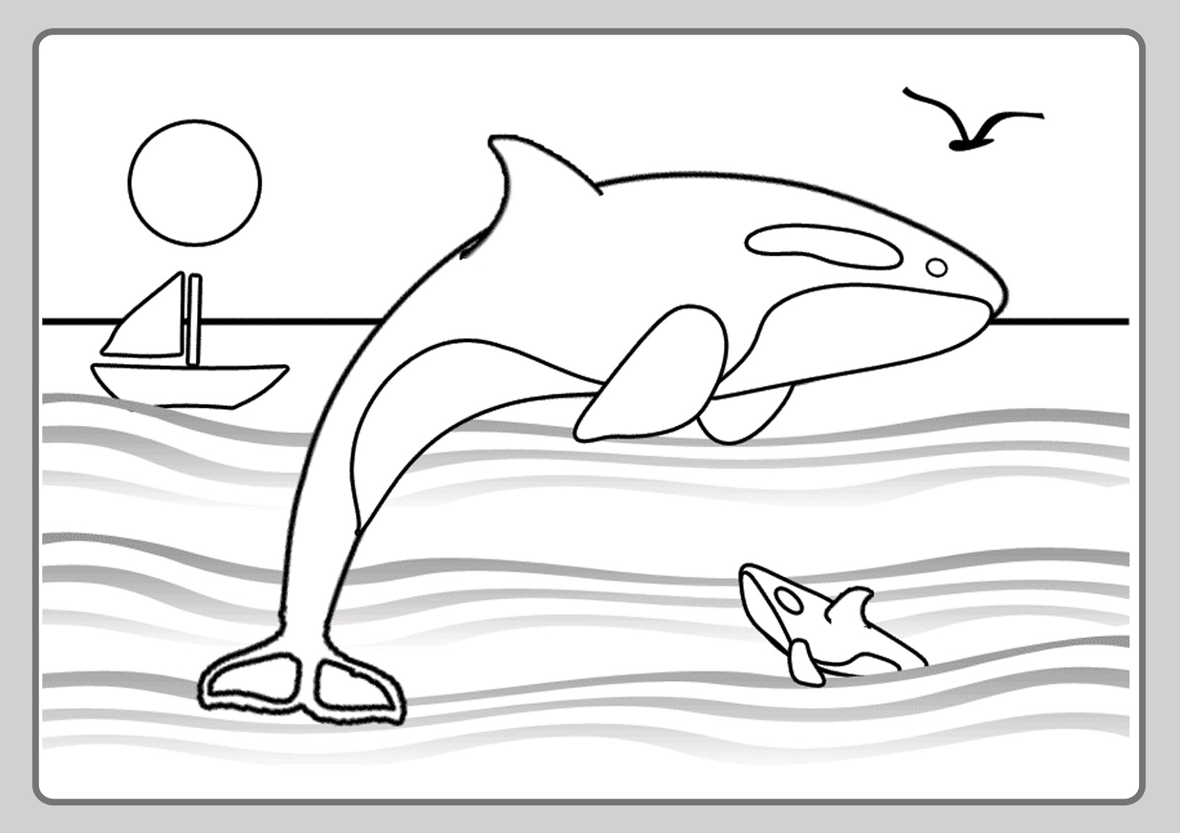 Orca Coloring Pages on The Sea